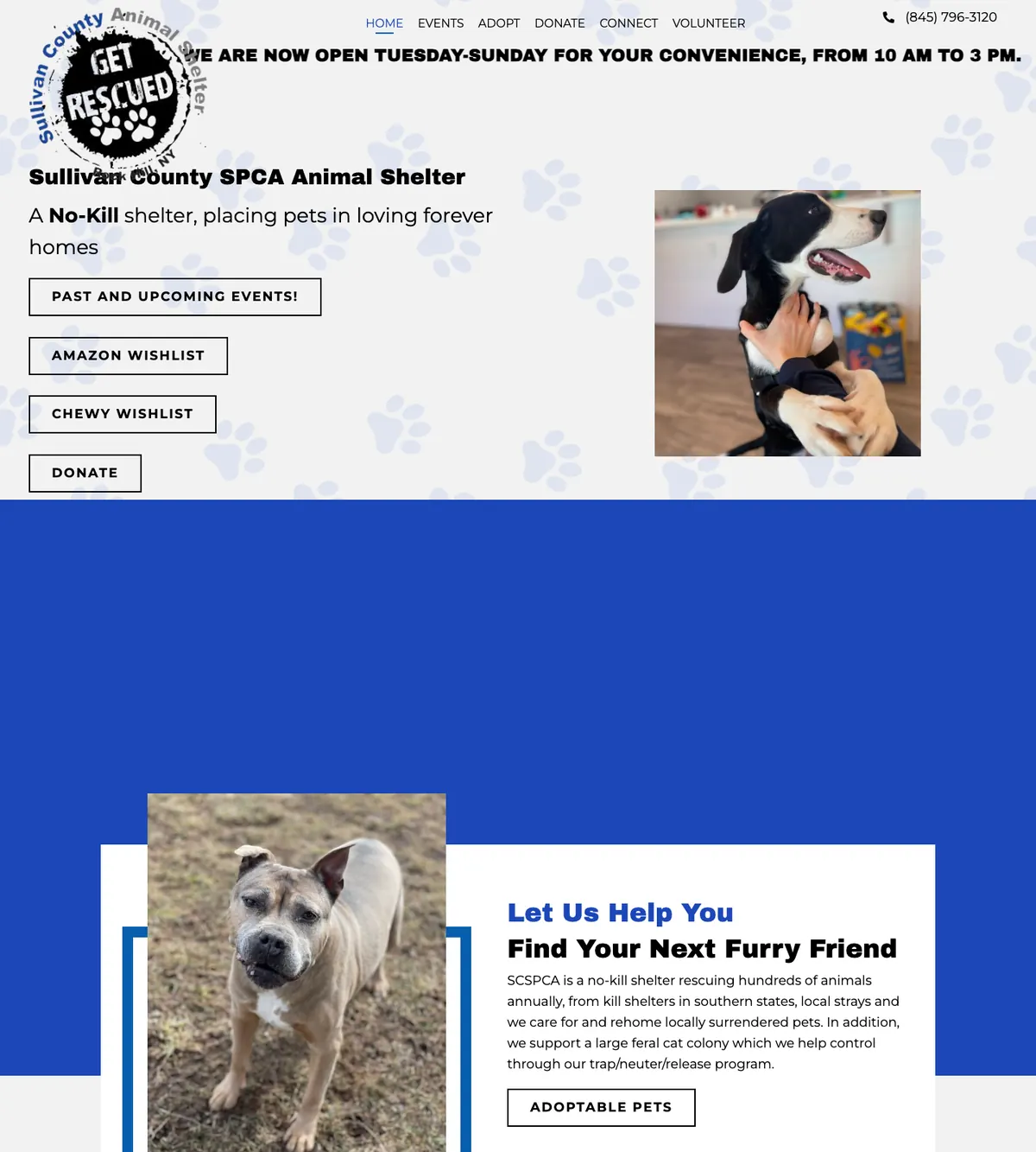 Screenshot of the Sullivan County SPCA website designed by Anchorlynk